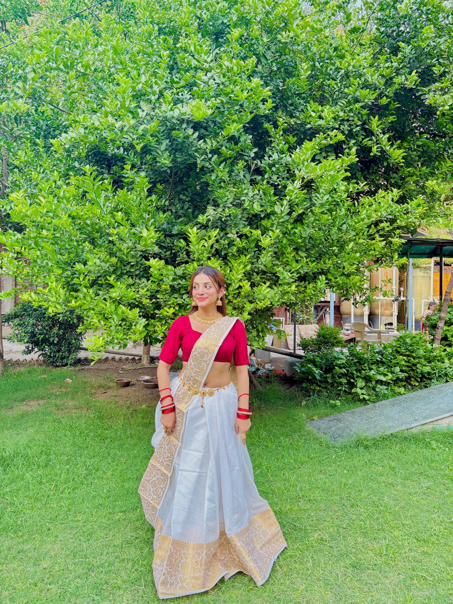 Swarnika Mist Saree