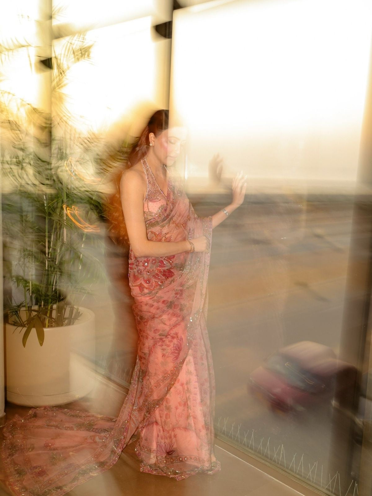 Rose Petel Mirror work Saree