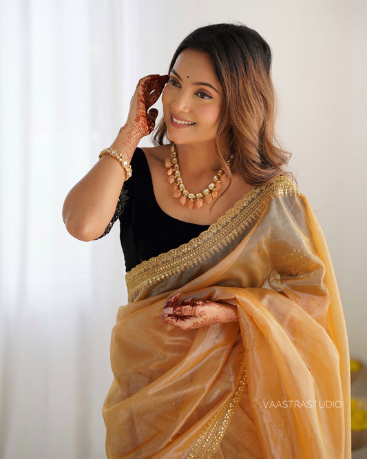 Padmaavat Luxe Saree
