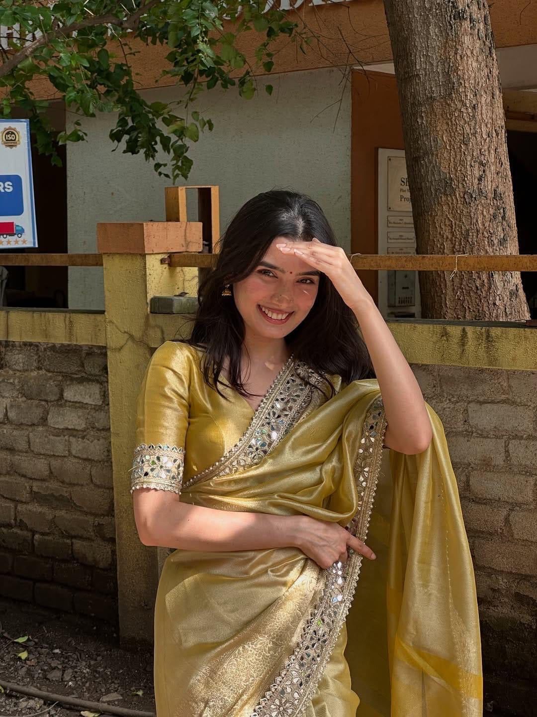Meher Gold Saree