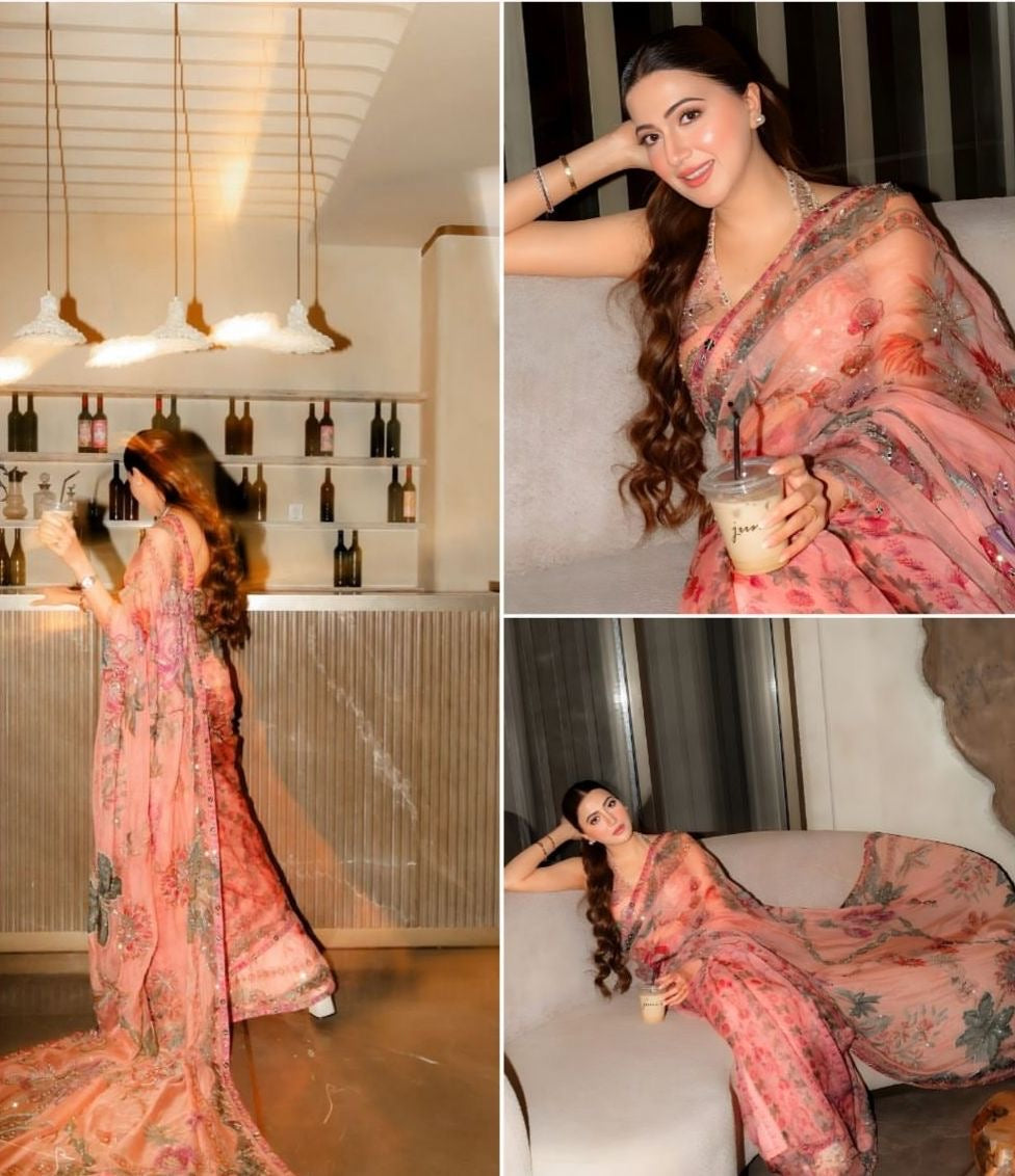 Rose Petel Mirror work Saree