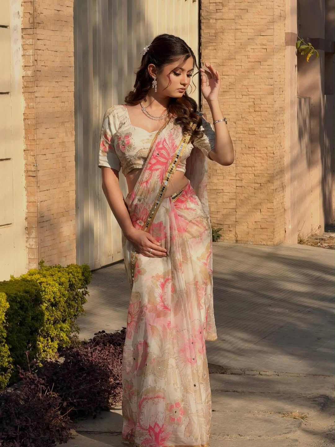 Rose Reverie Saree(beige)